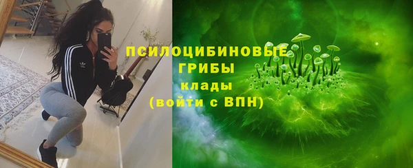 прущие грибы Баксан
