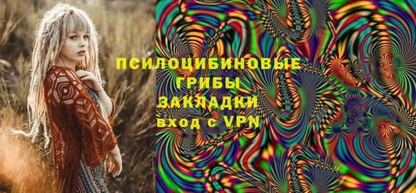 прущие грибы Баксан