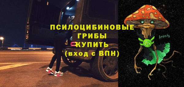 прущие грибы Баксан