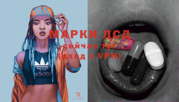 прущие грибы Баксан